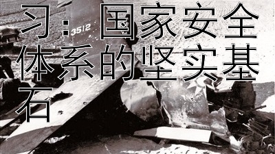 军事演习：国家安全体系的坚实基石